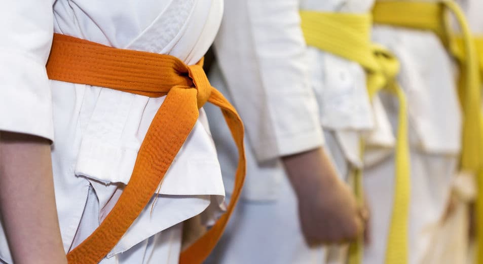 Main image of ATA Evolution Martial Arts