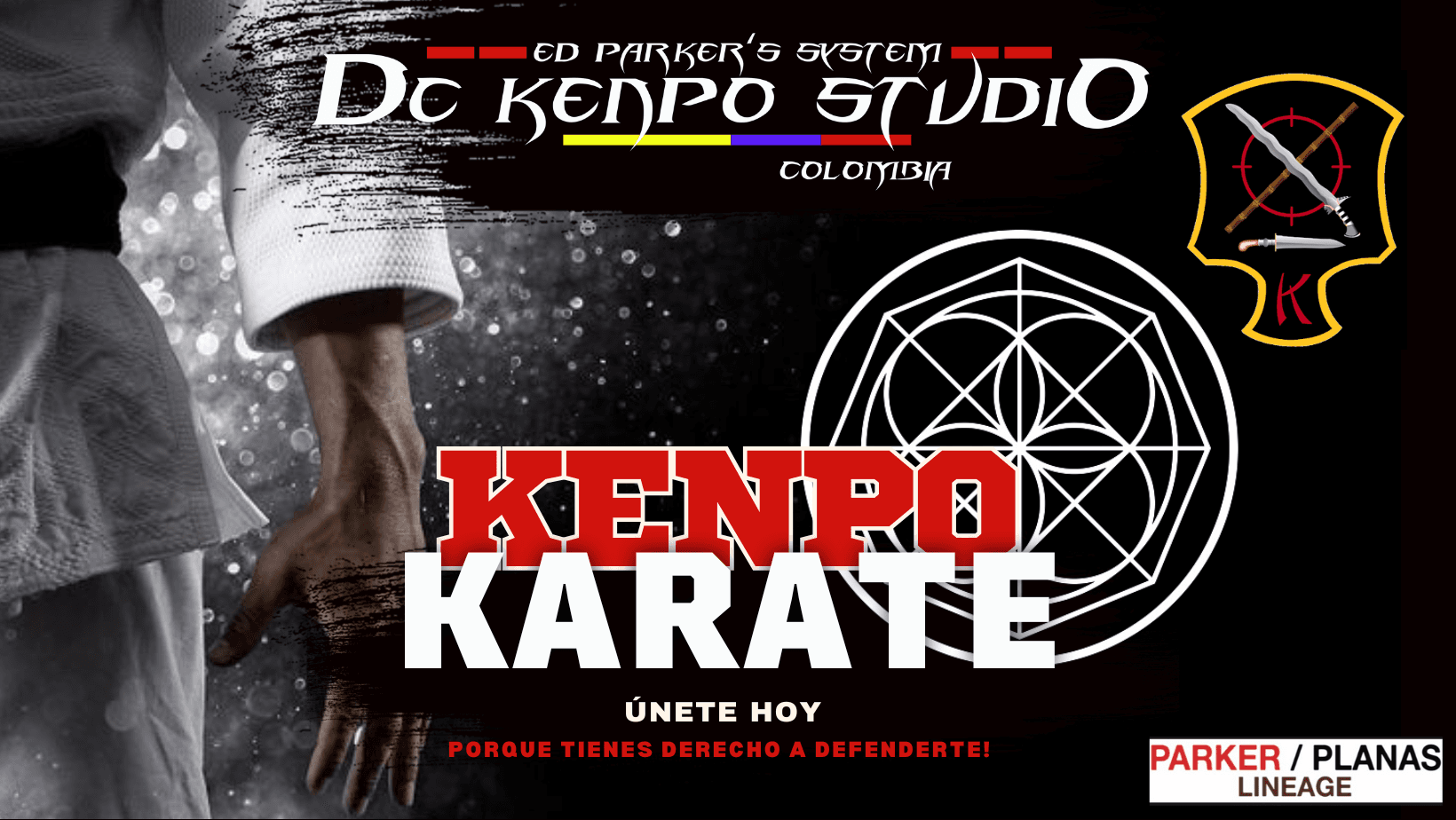 DC Kenpo Studio logo