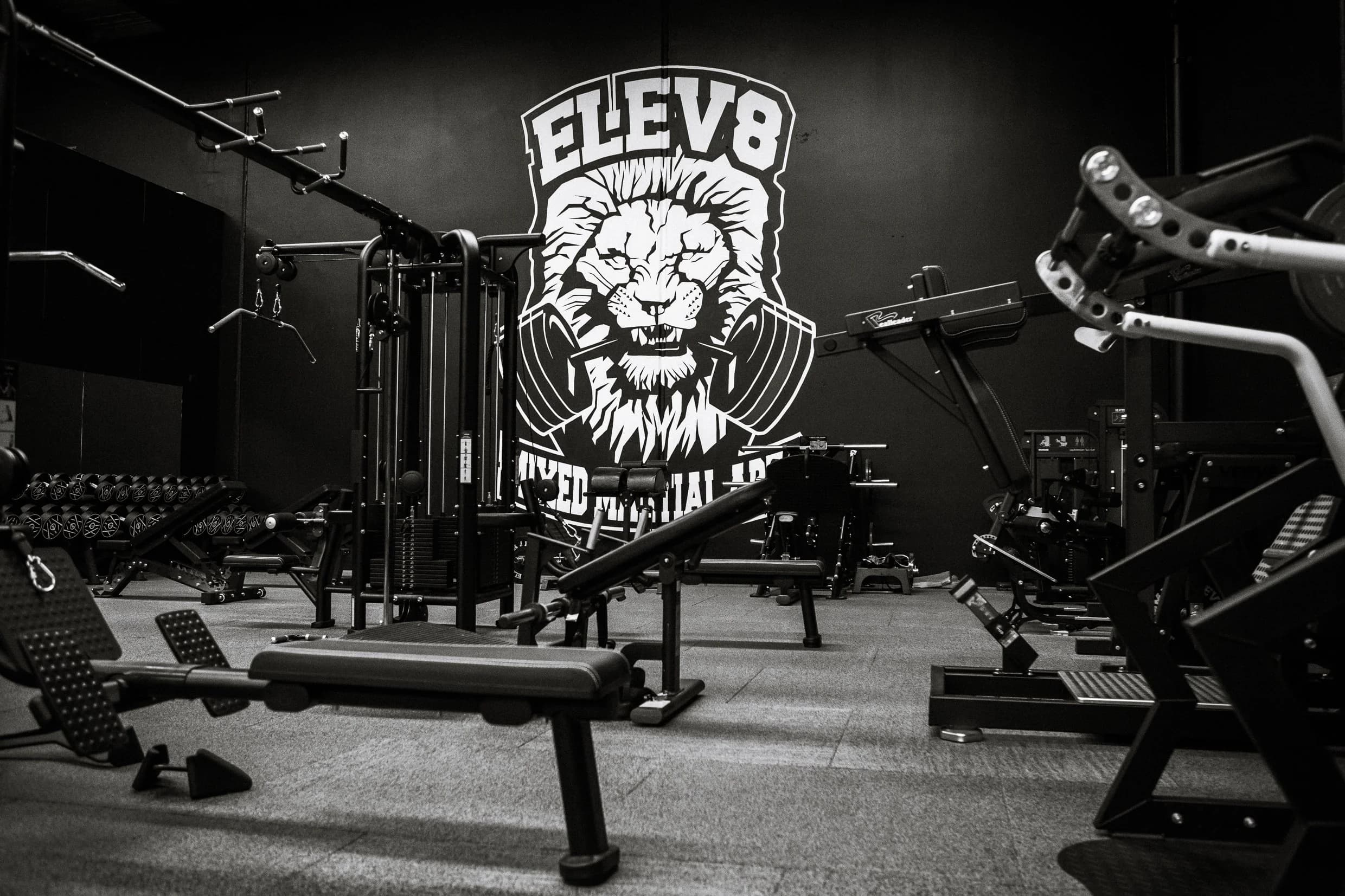 Main image of ELEV8 Mixed Martial Arts