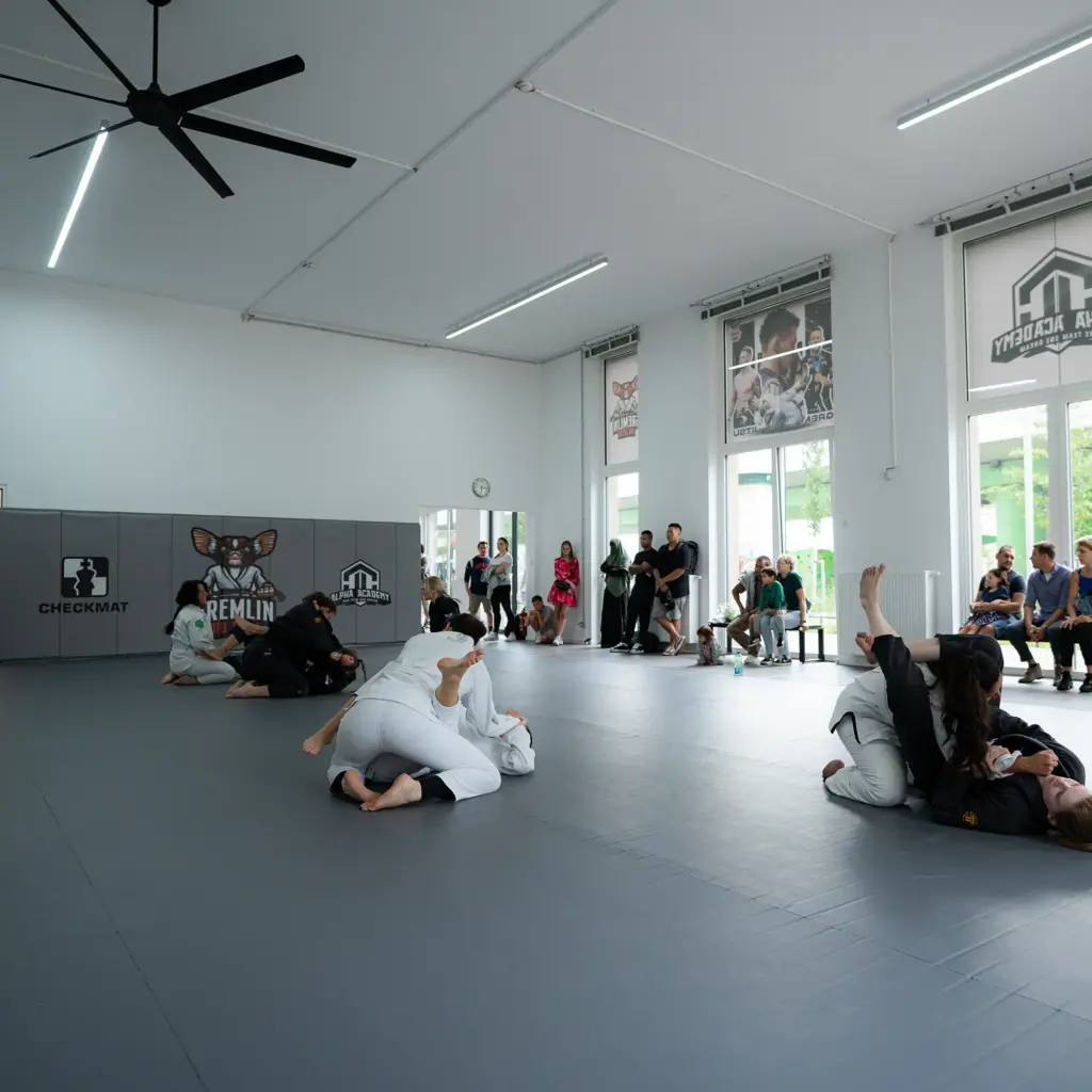 Main image of Alpha Jiu Jitsu Academy Seestadt