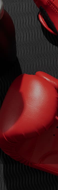 Main image of FIGHT DAY