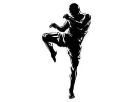 FightX Martial Arts logo