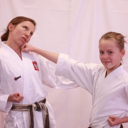Main image of DOJO United Łódź - Karate Kickboxing MMA BJJ Łódź Dzieci I Dorośli Centrum Sztuk Walki