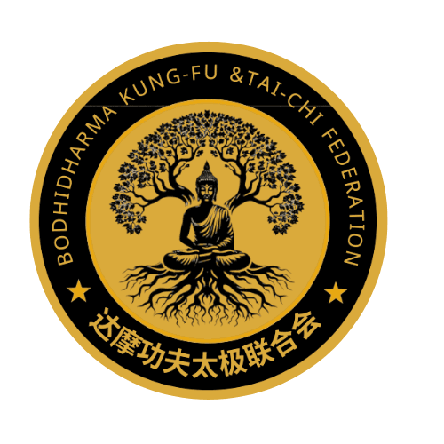 M.B.B Professional Martial Arts Academy logo