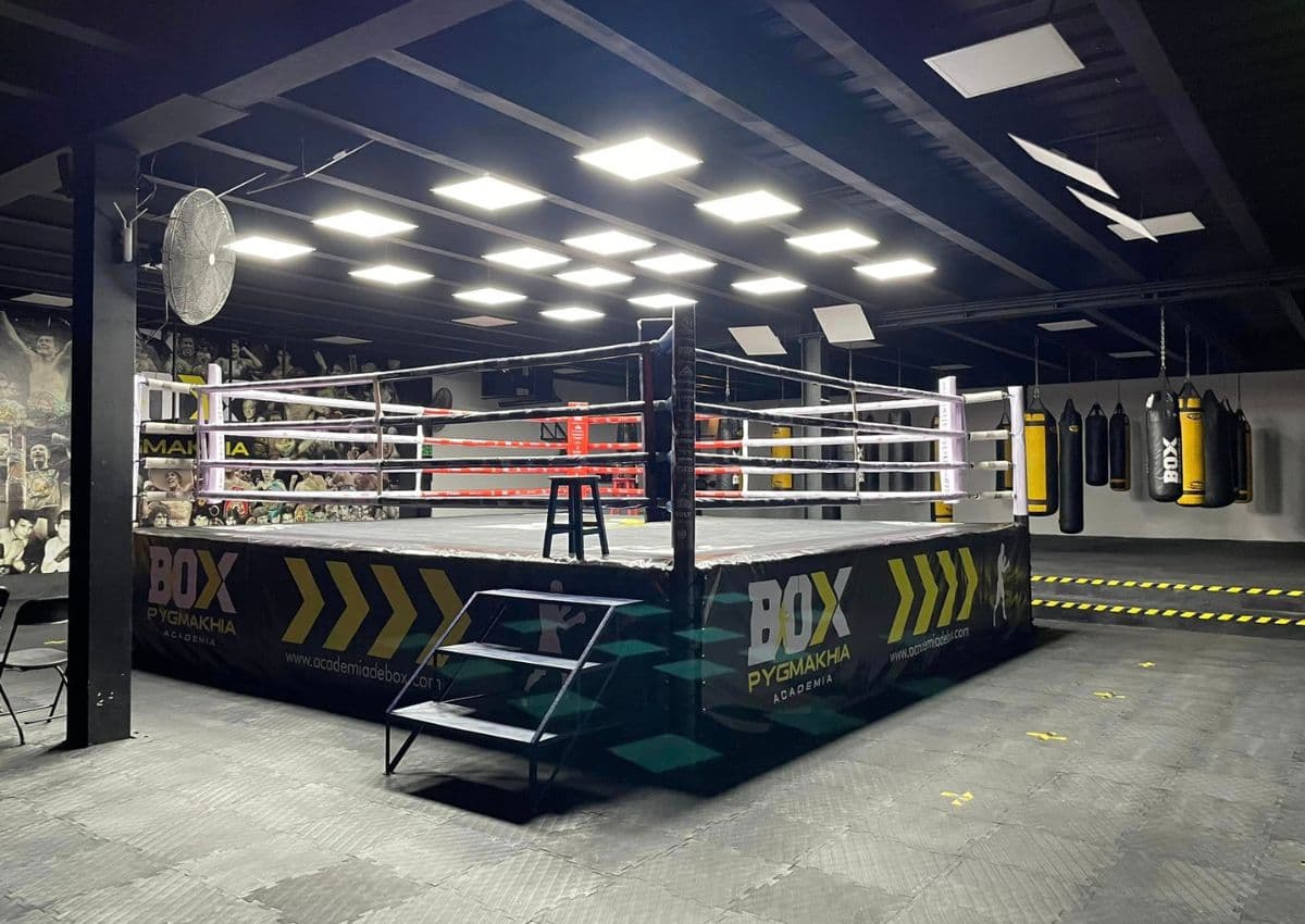 Main image of Escuela De Boxeo