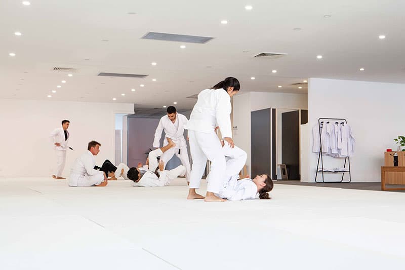 LEVELS JIUJITSU CLUB - BJJ & Self Defence logo