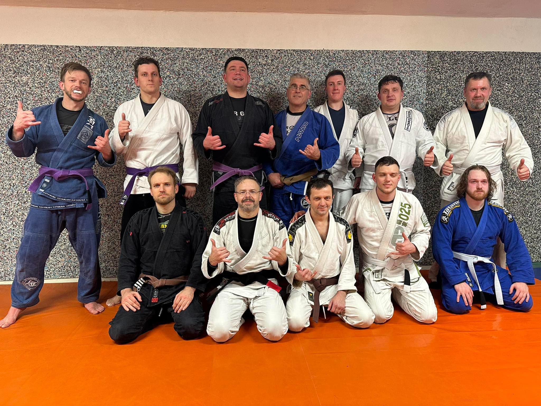 VJJA / Vilnius Jiu-jitsu Academy logo