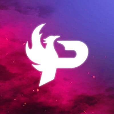 نادي فينكس لفنون القتال والدفاع عن النفس | Phoenix MMA GYM logo