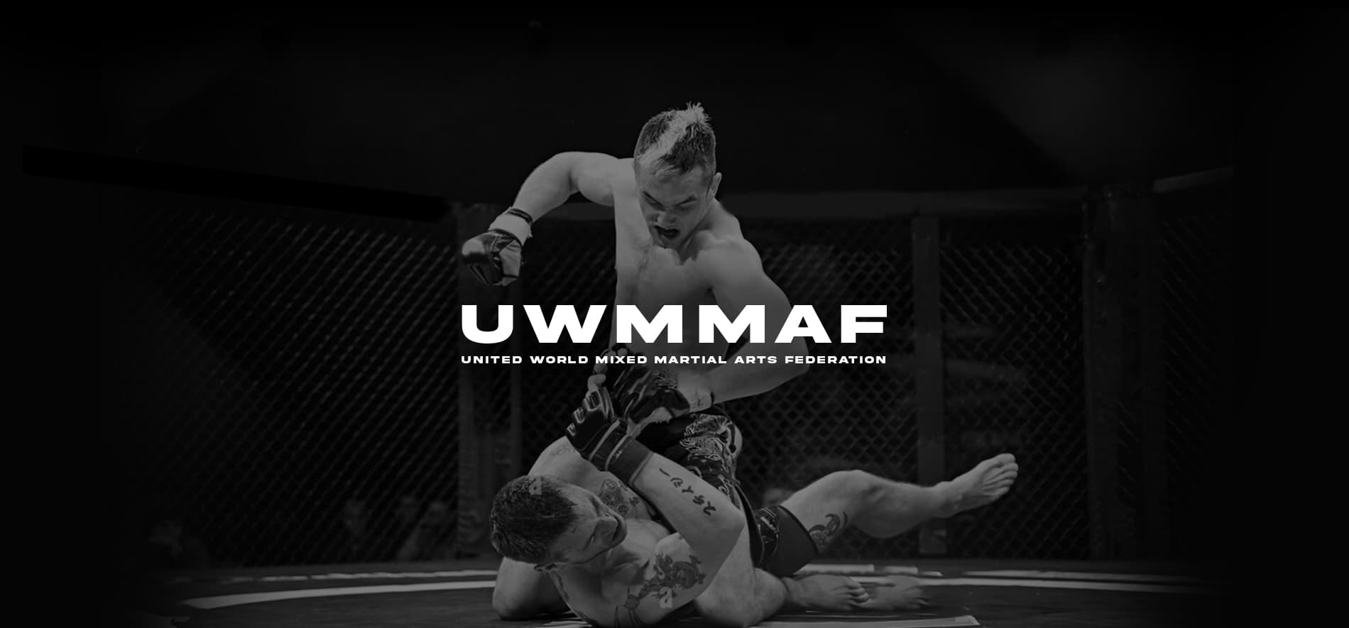 Main image of Pro Fight Studio استودیوی مبارزات حرفه ای