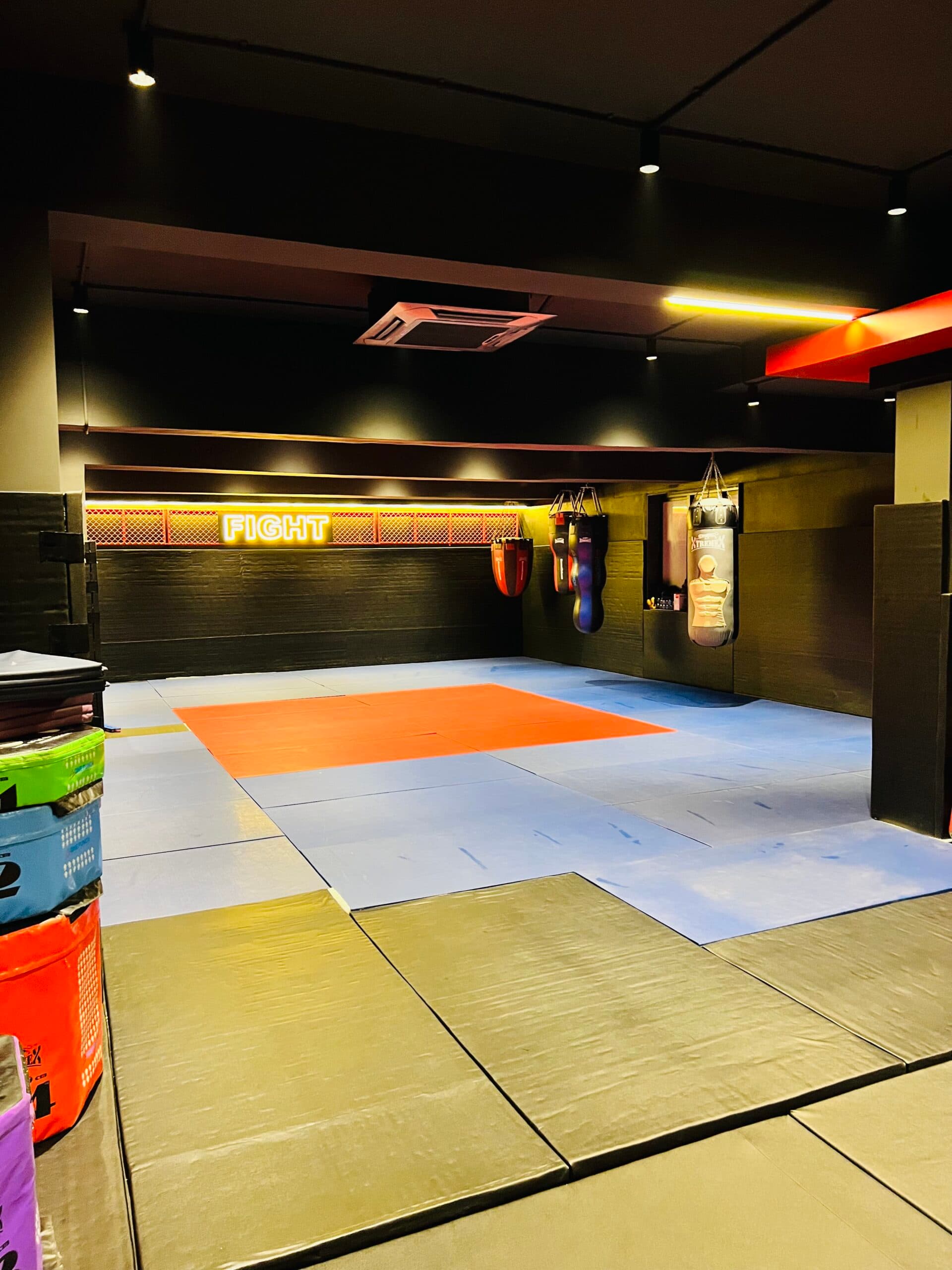 Main image of One Punch MMA
