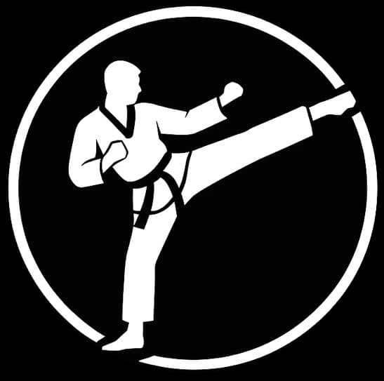 Best First One Taekwondo Academy logo