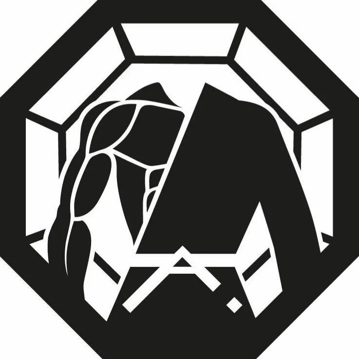 Academy of Fighting logo