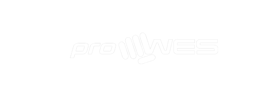 Wing Chun - proWES logo