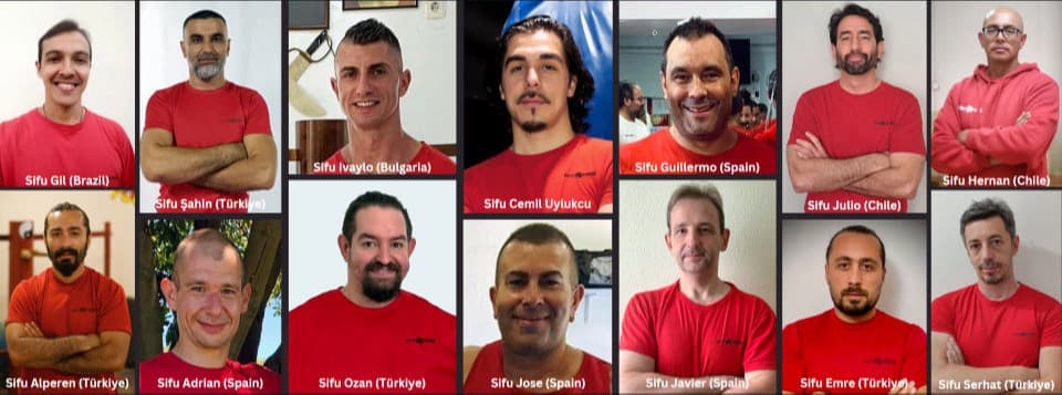 Main image of Wing Chun - proWES