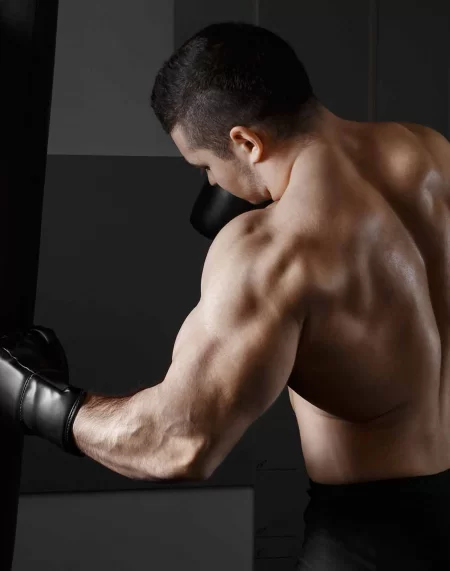 Main image of Sebs Elite Boxing Gym