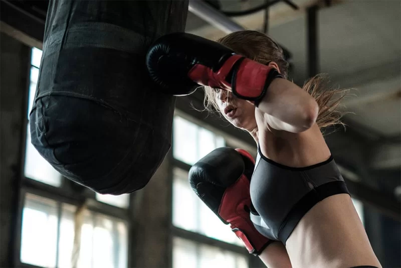 Sebs Elite Boxing Gym logo
