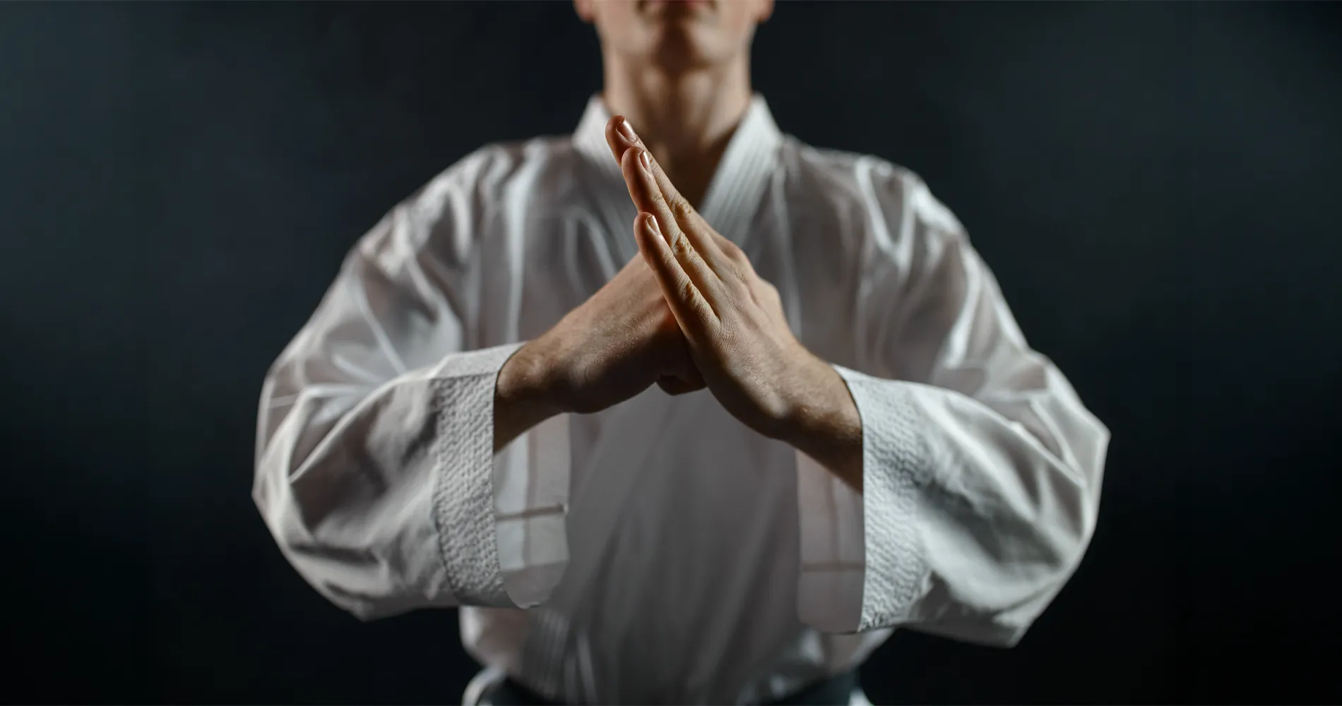 Budo Shop Andrej Jasenc s.p. logo
