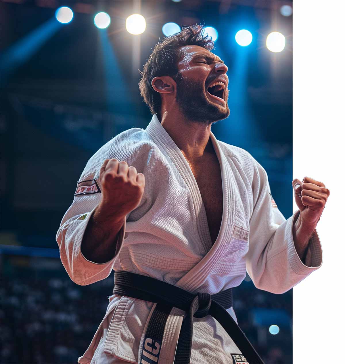 Main image of Champion Brazilian Jiu-Jitsu & Capoeira