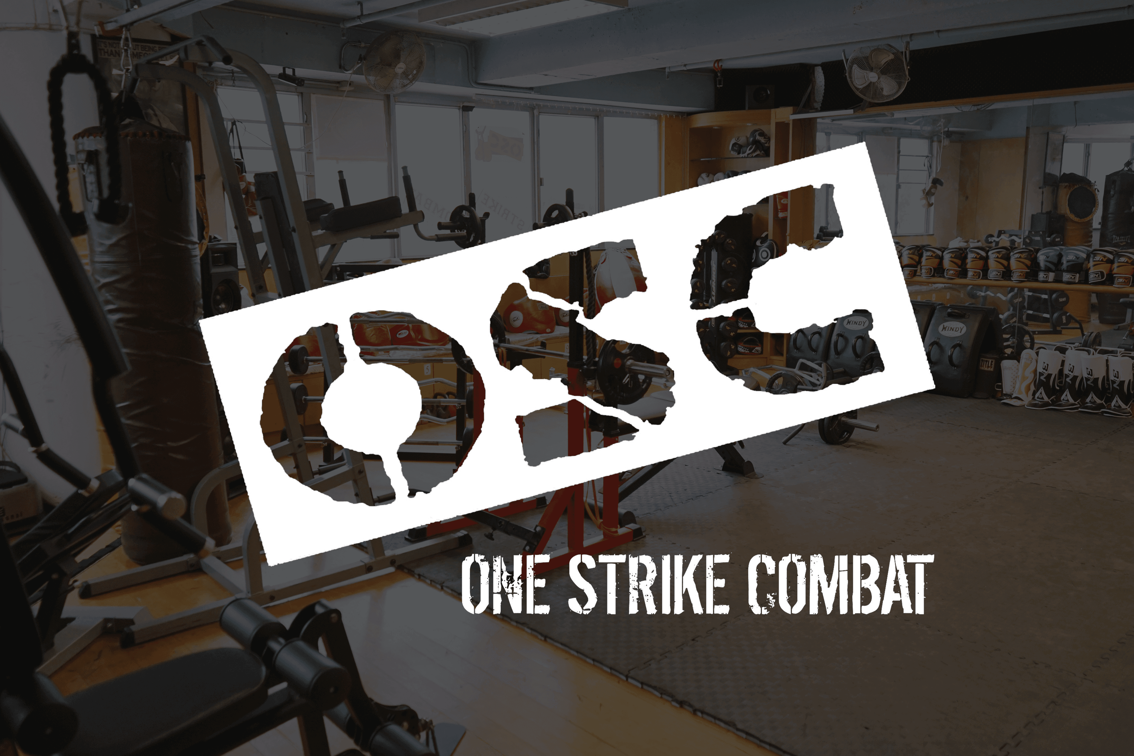 Main image of One Strike Combat