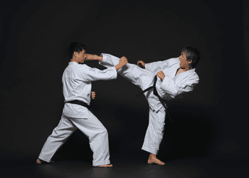 Delhi Kick-Boxing Classes And Mutahi Center Tiger MMA Tilak Nagar logo