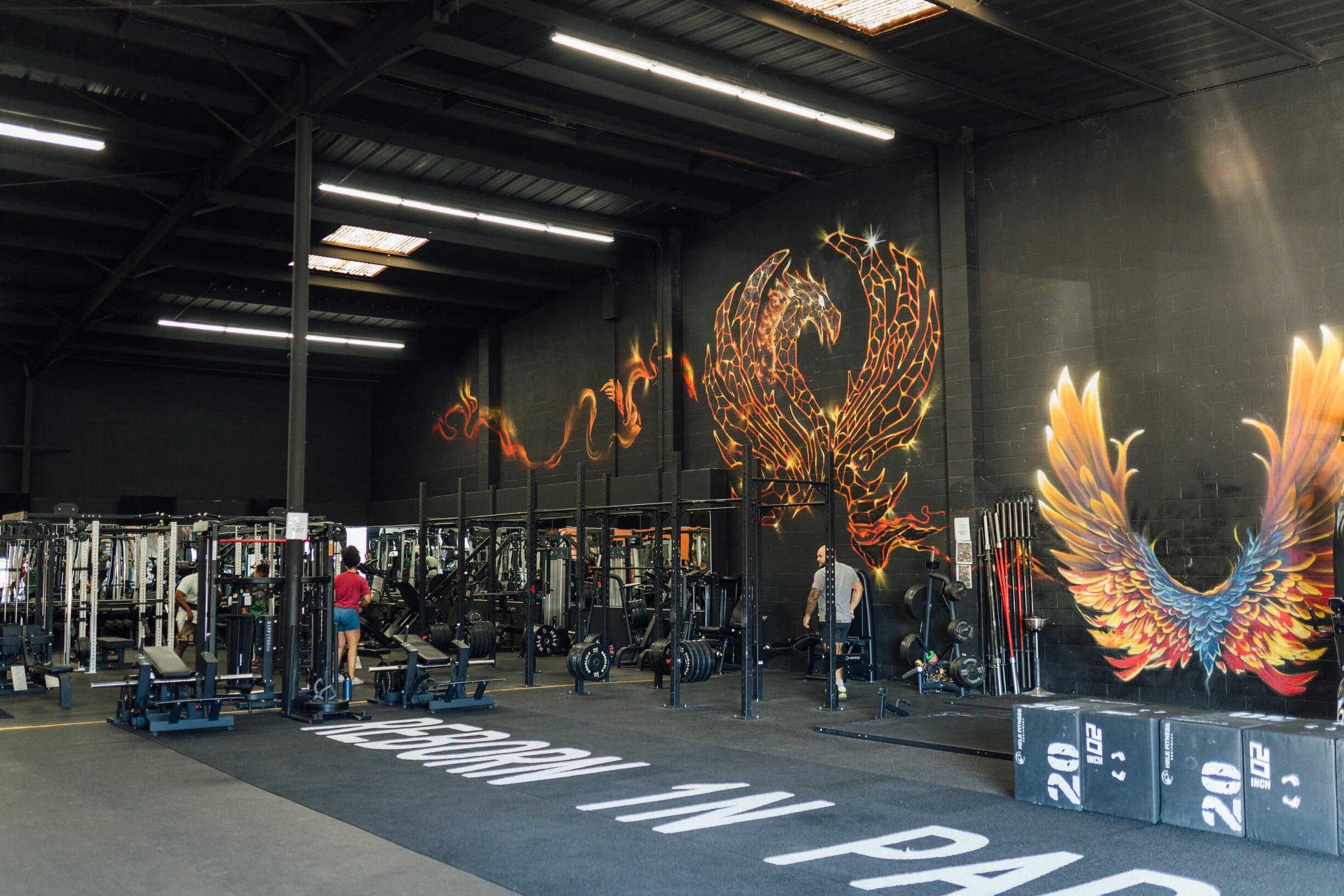 Main image of R1PFITNESS