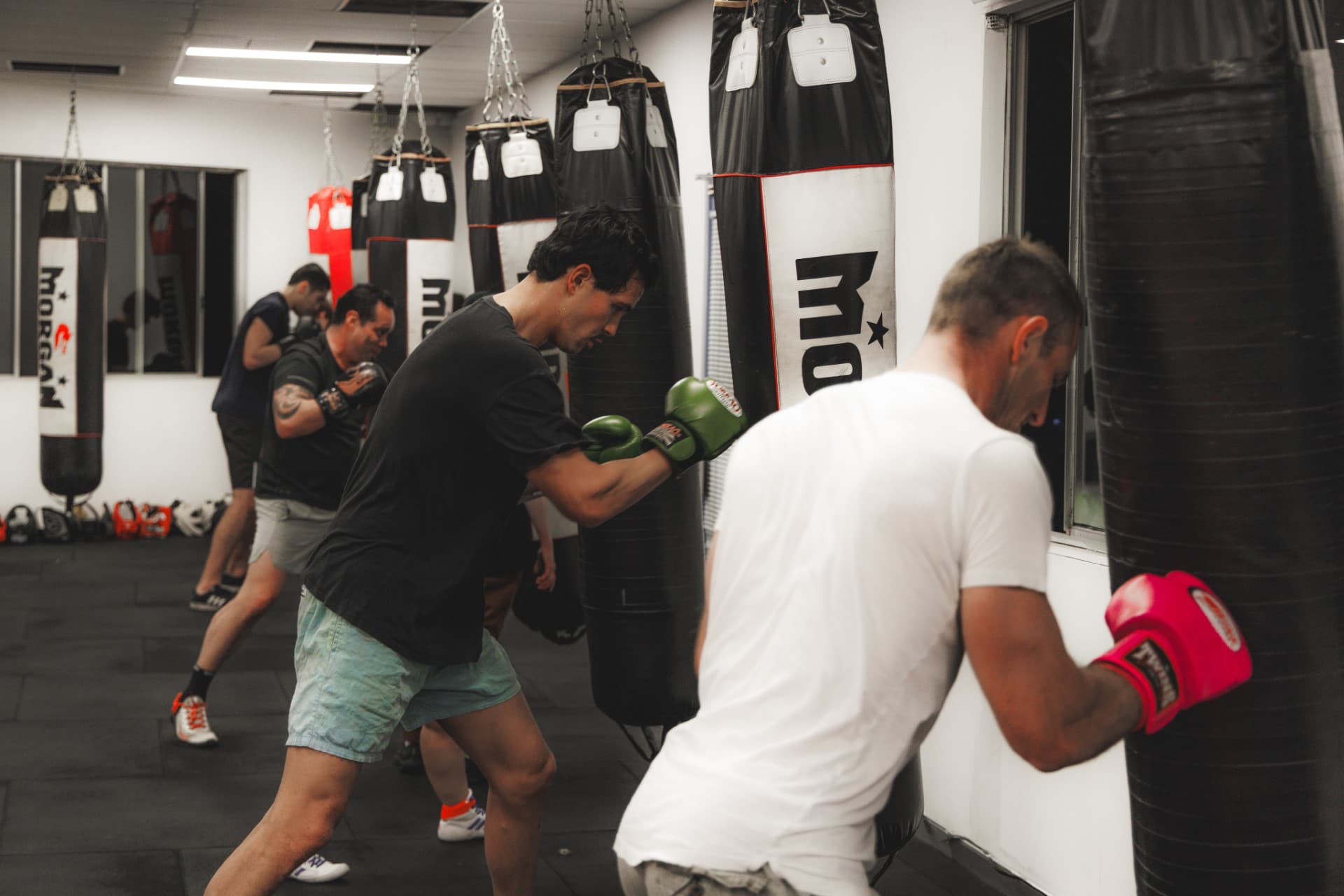 Main image of Fight Gym