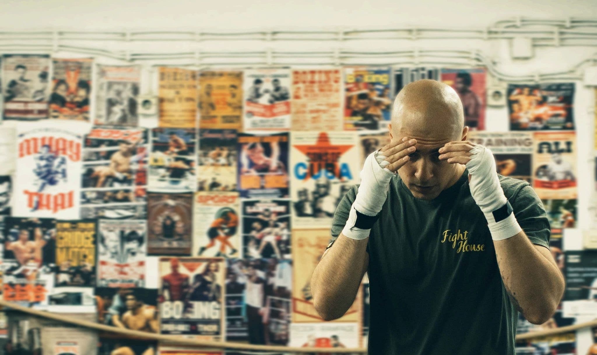 Main image of Fight House