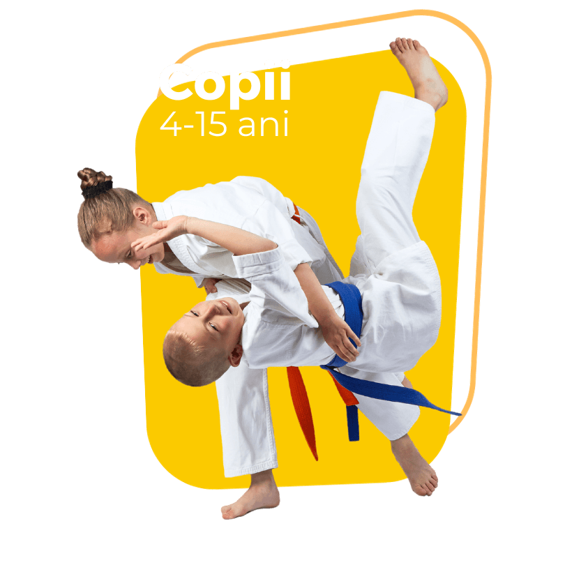 Clubul Sportiv Hiro - Judo Timișoara logo