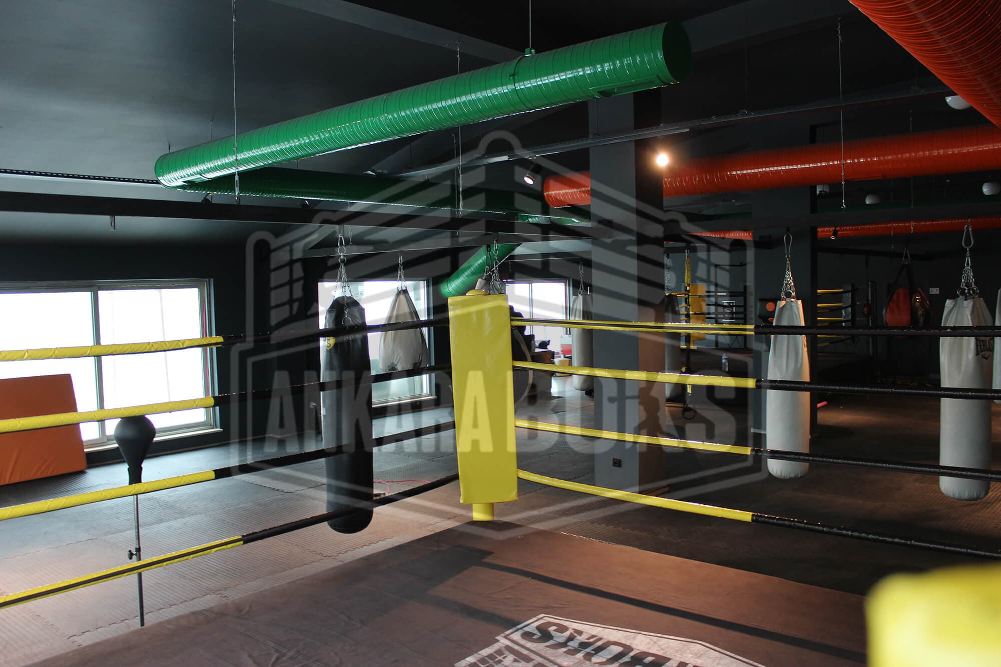 Main image of Union Sports Academy