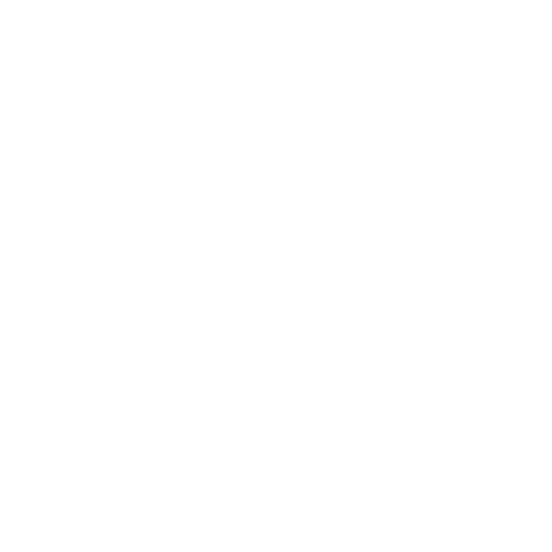 Gracie Jiu-Jitsu Riga logo