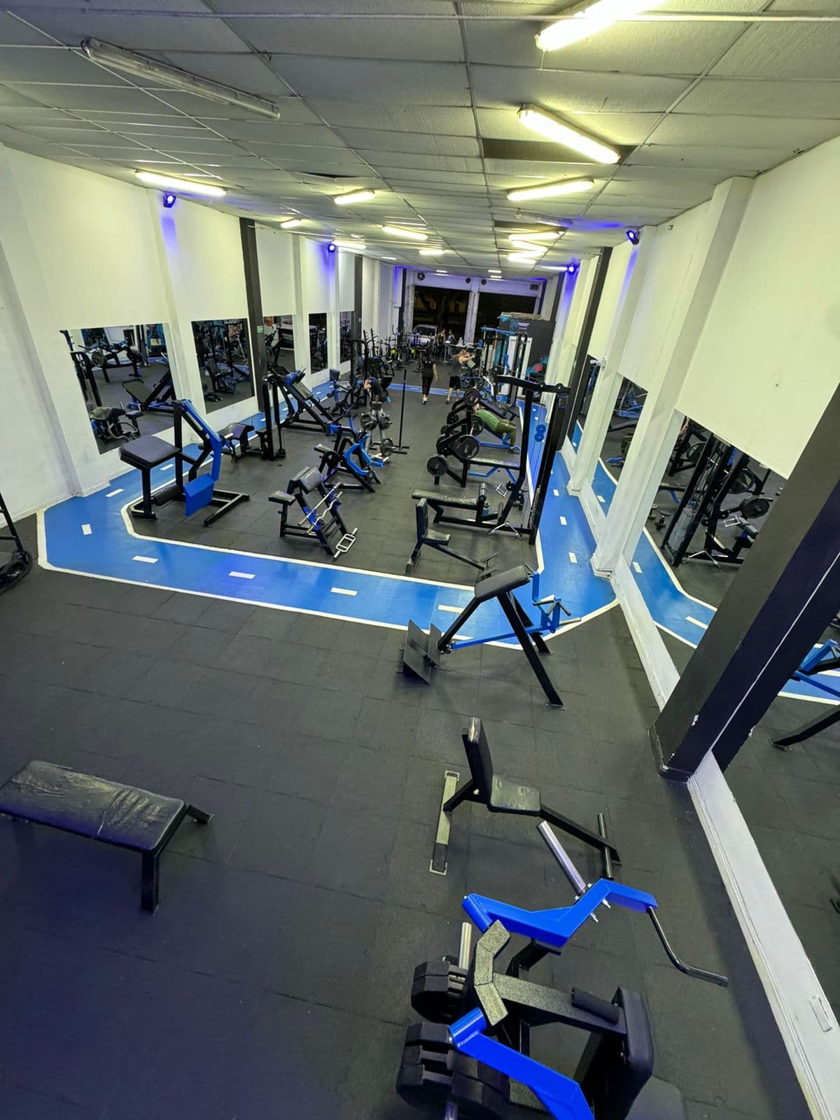 Main image of Muscle Center GYM Pereira
