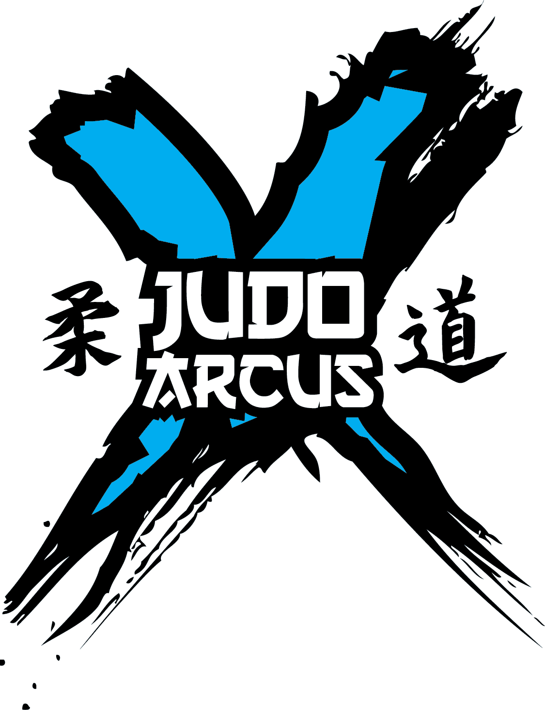 Main image of Uczniowski Klub Judo ARCUS