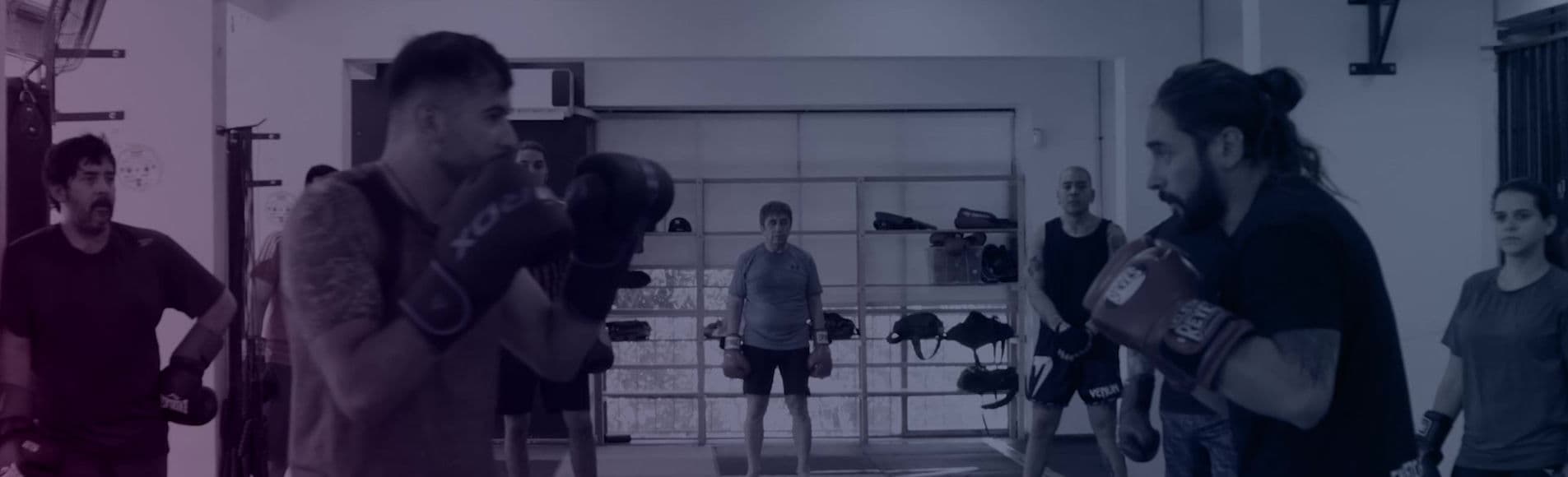 Main image of Falcon Boxing