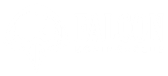 Falcon Boxing logo
