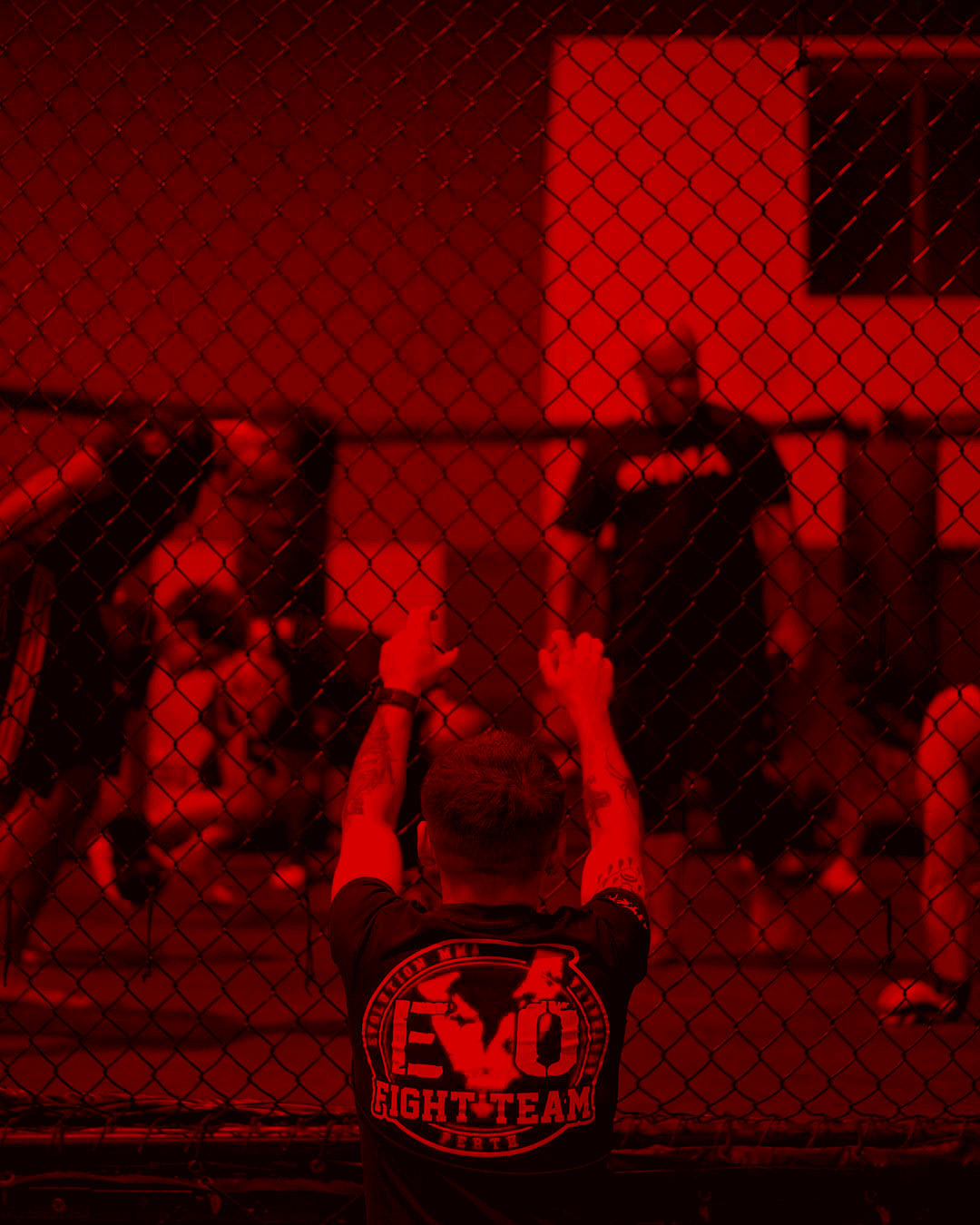 Main image of Evolution MMA & Fitness