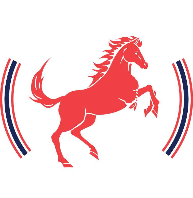 Main image of Red Stallion Muaythai