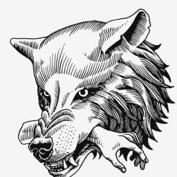 The Black Dog Jiu-Jitsu Company logo