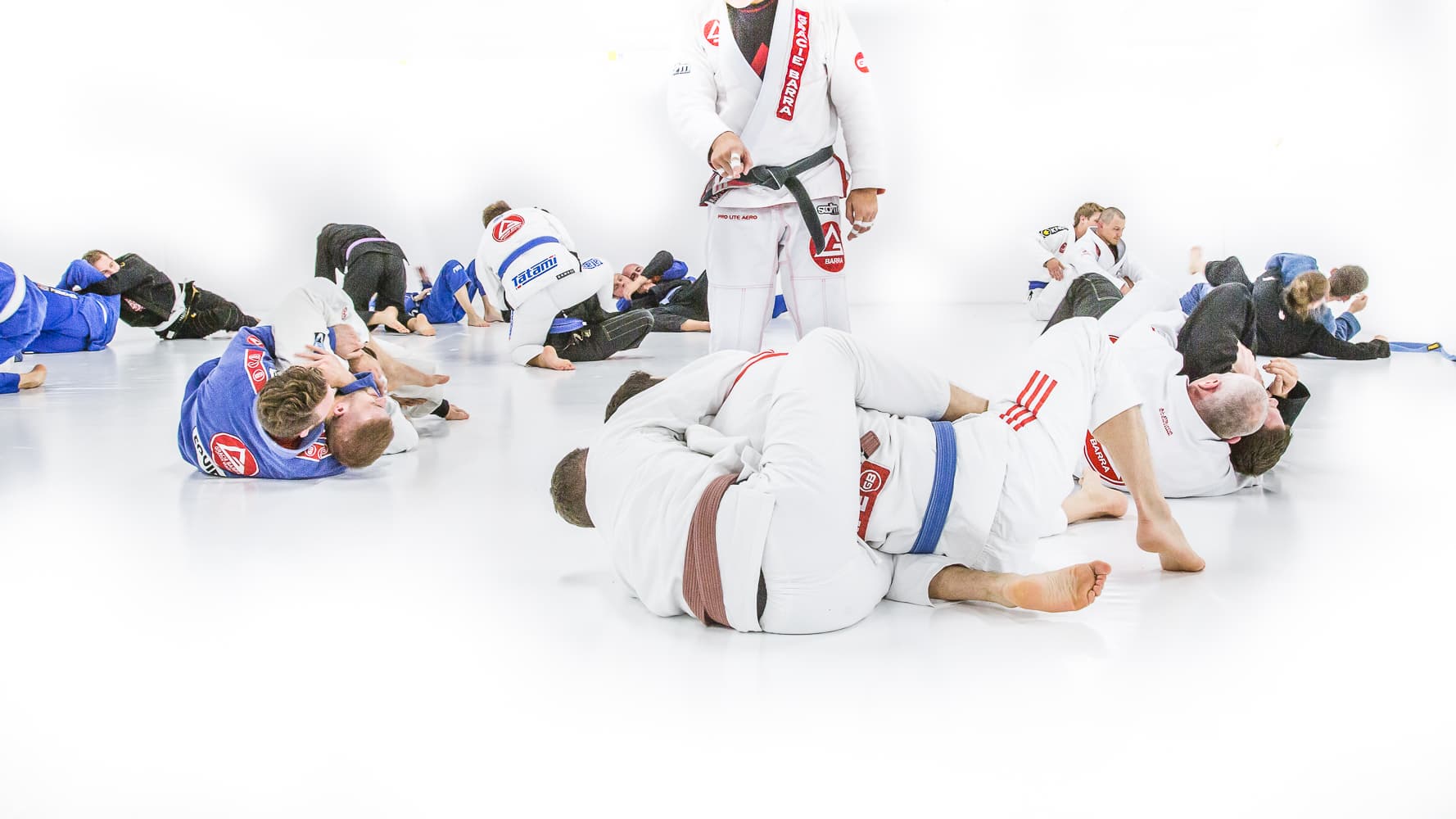 Main image of Gracie Barra