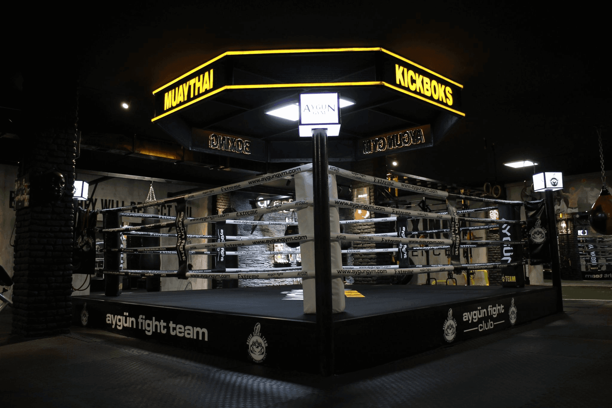 Main image of Aygün Gym (Fitness Kickboks - Boks - Muaythai - Pilates - Cadillac Reformer)