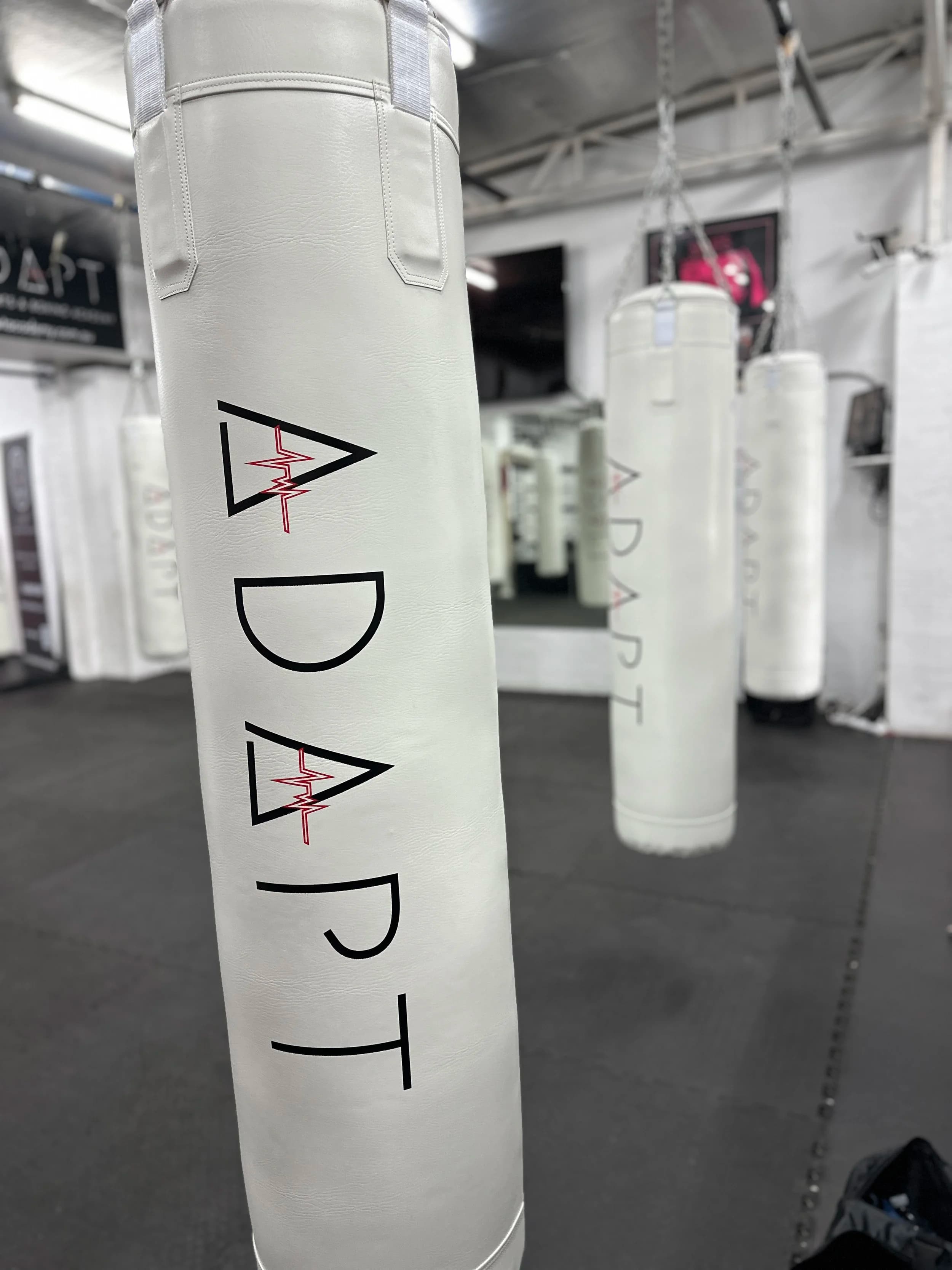 Main image of ADAPT Martial Arts Academy