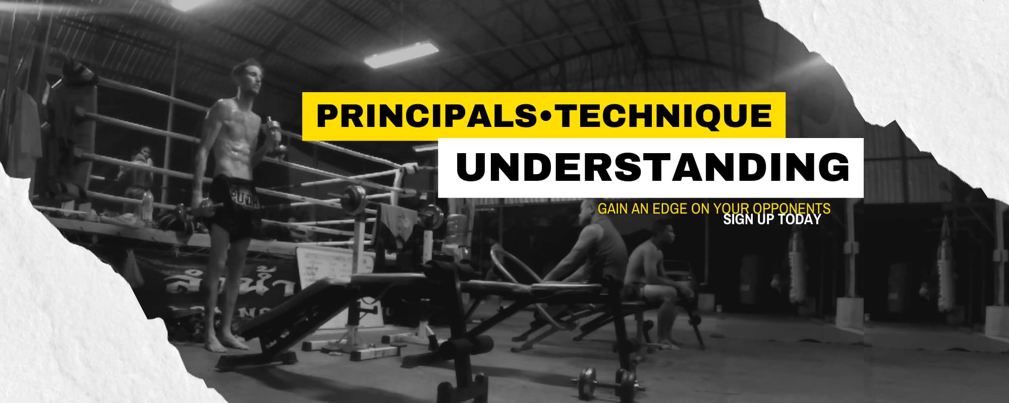 Main image of Steel Muay Thai