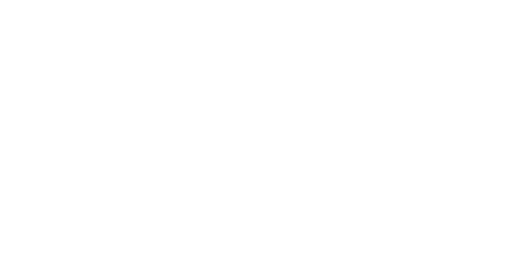 Roger Gracie Academy Vilnius logo