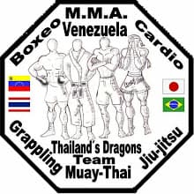 Thailand´s Dragons Team logo