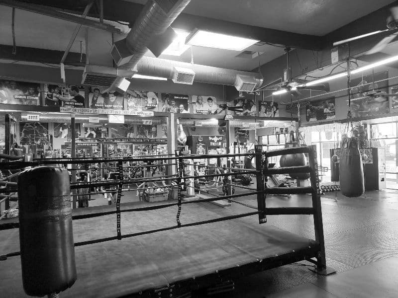 Main image of IronGloves Boxing Gym