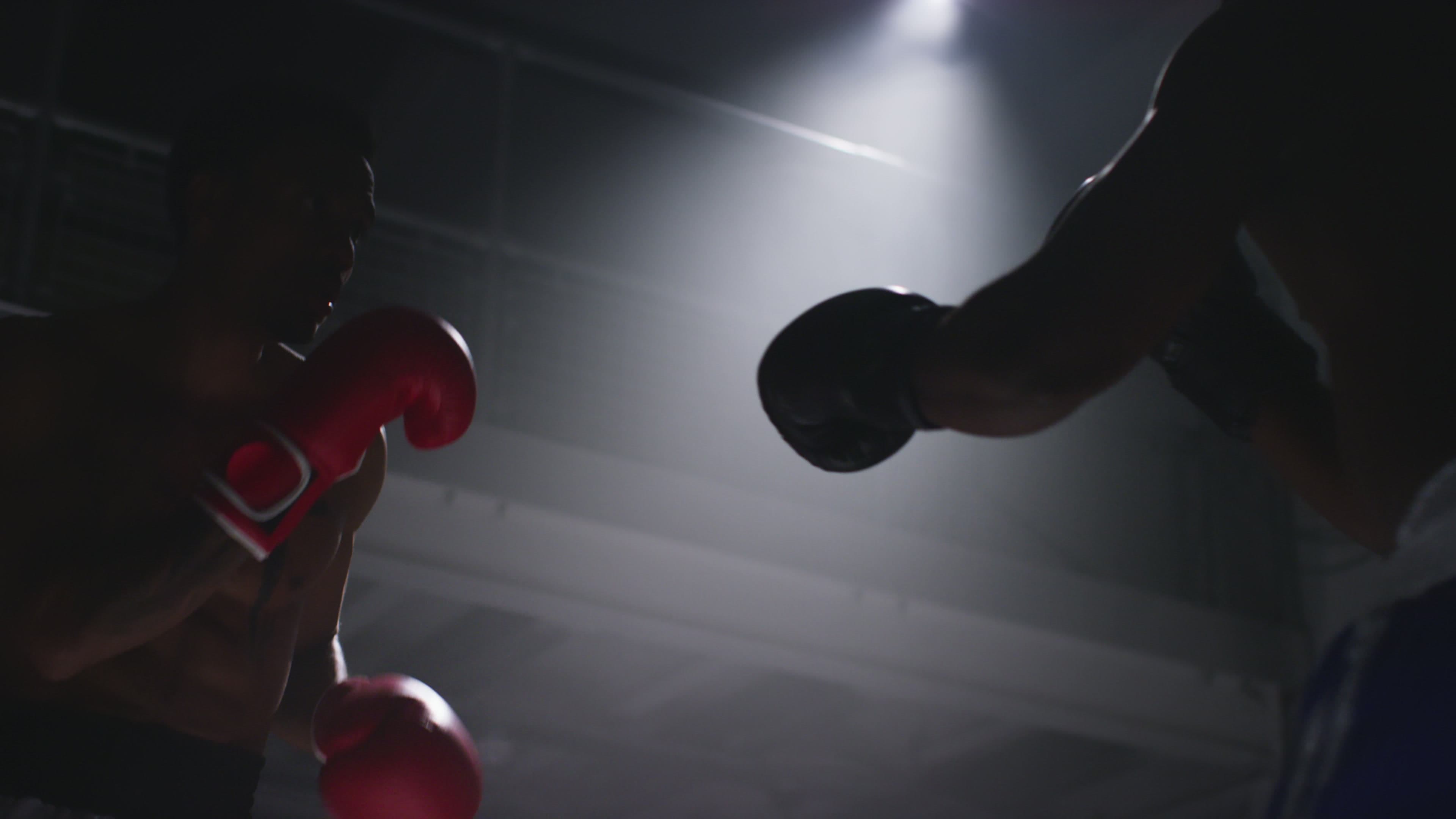 Main image of Chief Boxing Club