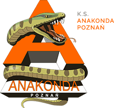 Main image of Anakonda Poznań