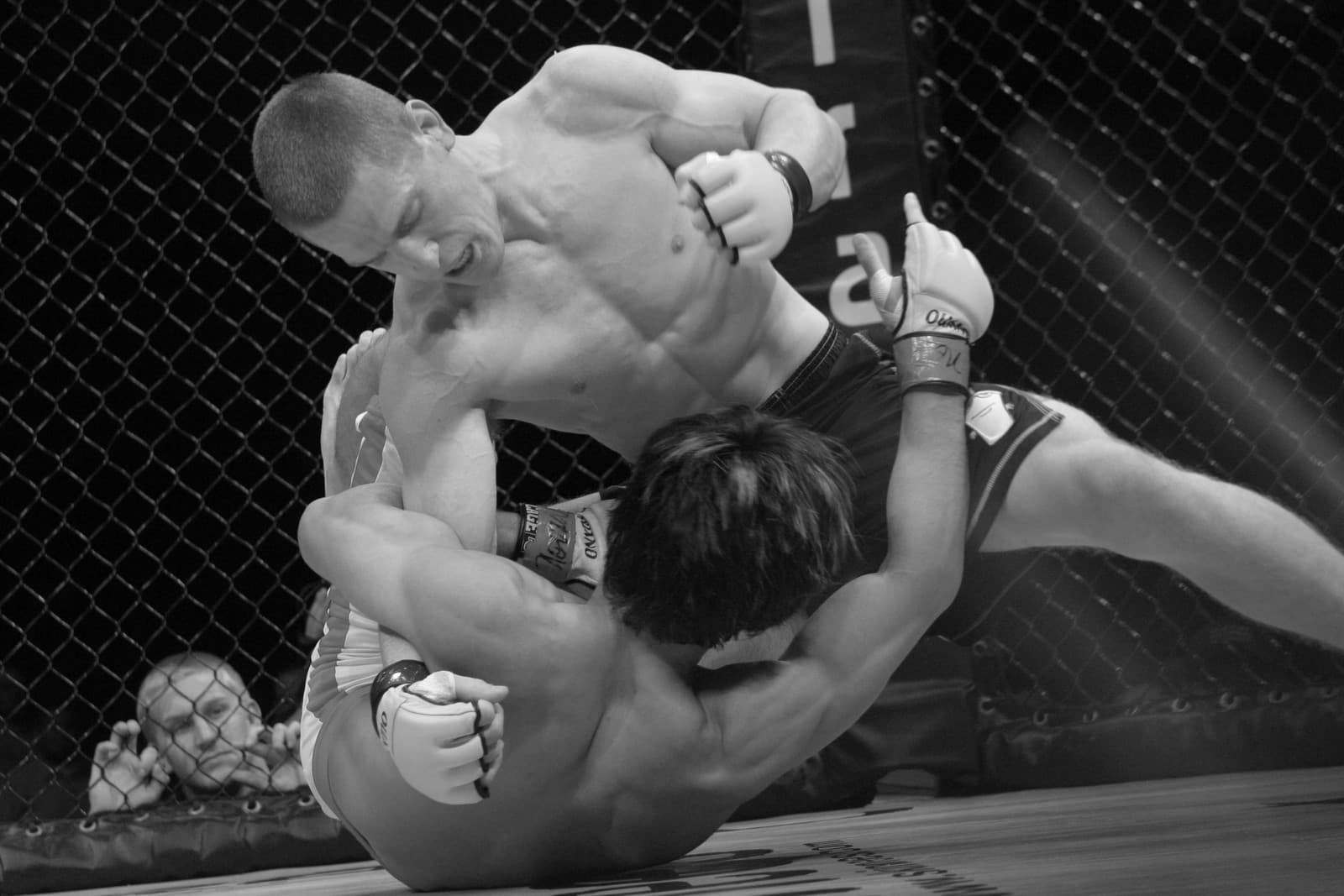 Danzig MMA logo