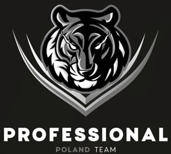 KLUB SPORTÓW WALKI VALOR MMA Luboń logo