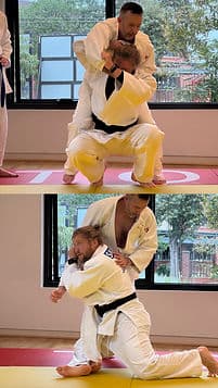 Main image of Tori Judo 取 柔道