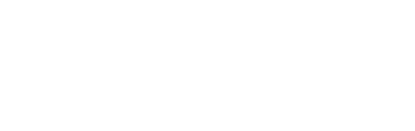 Berserk MMA Gym logo